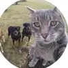 mckenna.schultzz - @mckenna.schultzz - TikTok