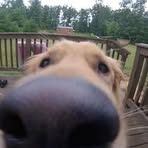 Hannibal Seward - Facebook