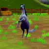 mckennaasteele - @hockeyandhorsegirl - TikTok
