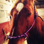 McKenna Stump - @sunshineenzo201 - Instagram