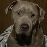 Beth McKenna Wade - @justonemore_67 - Instagram