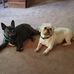 Wade McKenna - Facebook