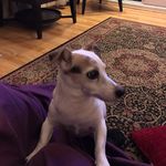 McKenzie Barker - @mckenziebarker257 - Instagram