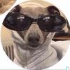 McKenzie Benedict - @kenziespamsssssssssss - TikTok