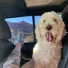Kenzie Bingham - @kenziebingham - TikTok