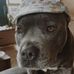 Blake Mckenzie - Facebook
