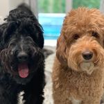 McKenzie Blake and Bailey Lynn - @kenzieandbailey - Instagram