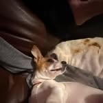 Mckenzie Branch - @branch.mckenzie - Instagram