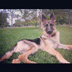 Bruce McKenzie - @bruce.mckenzie - Instagram