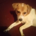 McKenzie Bryant - @buddy2loveforever - Instagram