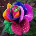 Kenzie Carlson - Facebook