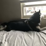 Conner Mckenzie - @conner_mckenzie11 - Instagram