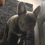 Mckenzie Dawson - Facebook