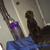Makenzie Fleming - @kenzie_fleming - TikTok