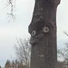mckenziefleming82 - @kenzster01 - TikTok