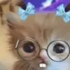 user3784722293183 - @mckenziegarzah6loah - TikTok