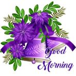 Mckenzie George - Facebook