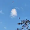 Gregory Mckenzie - @gregory.mckenzie59 - TikTok