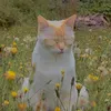 McKenzie Gregory - @cvtching.feelings - TikTok