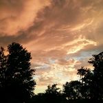 McKenzie Gregory (Schaefer) - @bloodorangephotos - Instagram