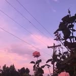 Mackenzie holder - @kenzie_holder_2019 - Instagram