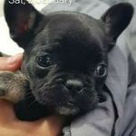 mckenzie - @mckenziehurst20082021 - Instagram