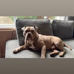 Keating Mckenzie - @keatingmckenzie2 - Instagram