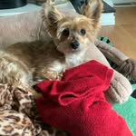 MacKenzie Keating - @macknnz1946 - Instagram
