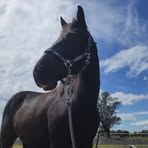 Mackenzie Kemp - Facebook