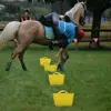 McKenzie knapp - @horserider33369 - TikTok