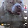 mckenzieknapp870 - @mckenzieknapp870 - TikTok