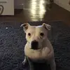 mckenziekramershort - @mckenziekramershort - TikTok