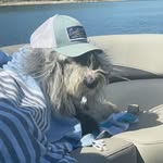 McKenzie Marshall - @ogg.and.me - Instagram