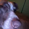 Mckenzie martin - @mckenzie.martin02 - TikTok