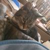 Mackenzie Mayer - @daily_routines_notrich - TikTok