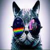 Mackenzie McBride - @mackenzie_mcbride - TikTok