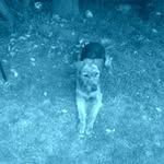 mckenzie - @mckenzie_mclean11 - Instagram