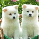 Mckenzie Mclean - @kenzie52100 - Instagram