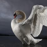 Mckenzie Mclean - @mckenzie_mclean - Instagram