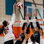 Mckenzie Murray - @mckenziemurrayvb.2025 - Instagram