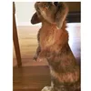mackenzie_muser🐰🐰 - @mackenzie_muser - TikTok