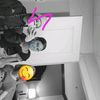 MckenzieNoble - @mckenzienobleeznqblxp - TikTok