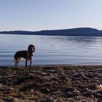 Mackenzie Raymond - Facebook