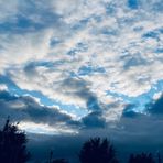 Mackenzie Roman - Facebook