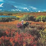 McKenzie Roman - @kollagesbyken - Instagram