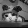 Mckenzie Rose Bonassi  - @mckenzie.b_122 - TikTok