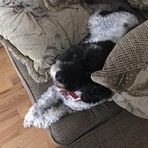 Mackenzie Russell - Facebook