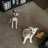Mckenzie russell - @mckenzie.russell0 - TikTok