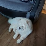 Russell Mckenzie - @russell.mckenzie.18 - Instagram