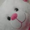 Mckenzie Sharp - @cookiecornpop.mckenzie - TikTok